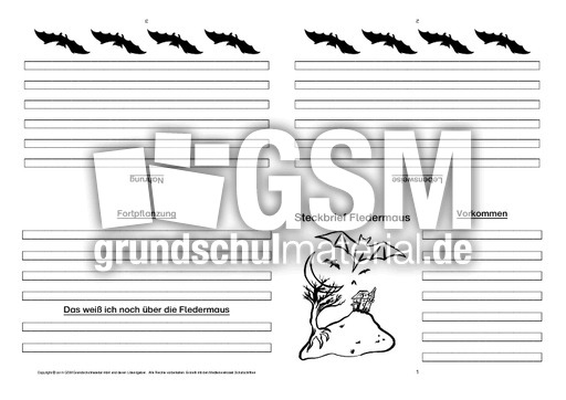 Fledermaus-Faltbuch-vierseitig-4.pdf